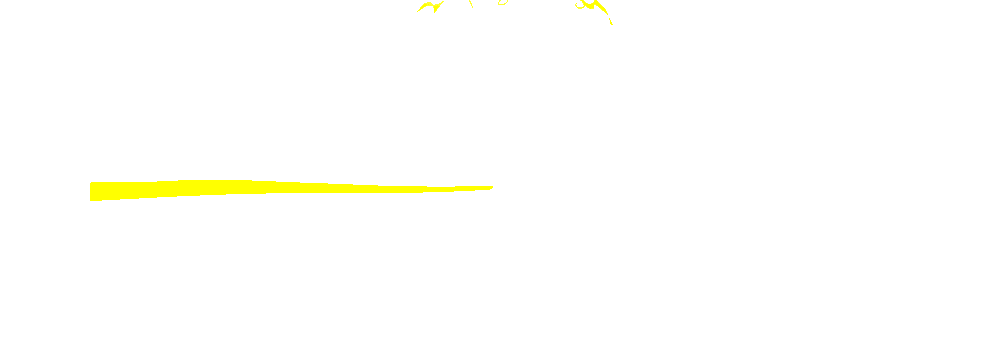 Logo WISH4D